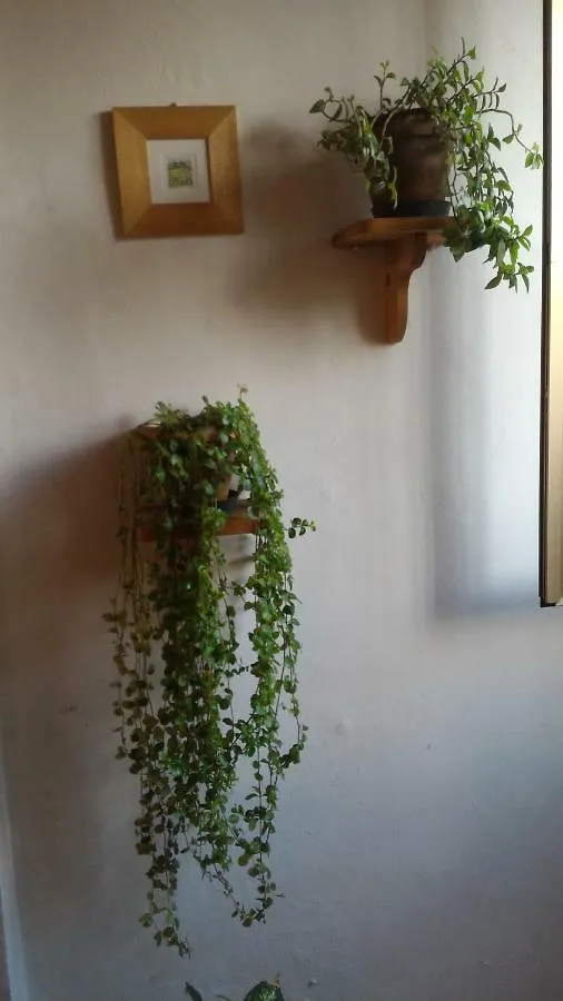 Il Gufo Pensatore Lejlighed Firenze Italien